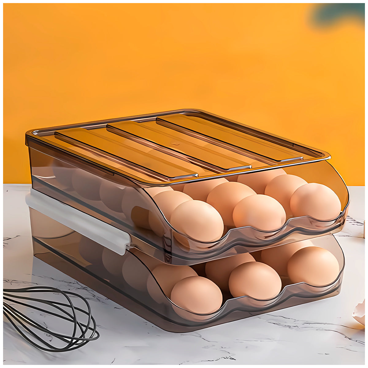 ORGANIZADOR DE HUEVOS HERMETICOS