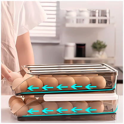 ORGANIZADOR DE HUEVOS HERMETICOS