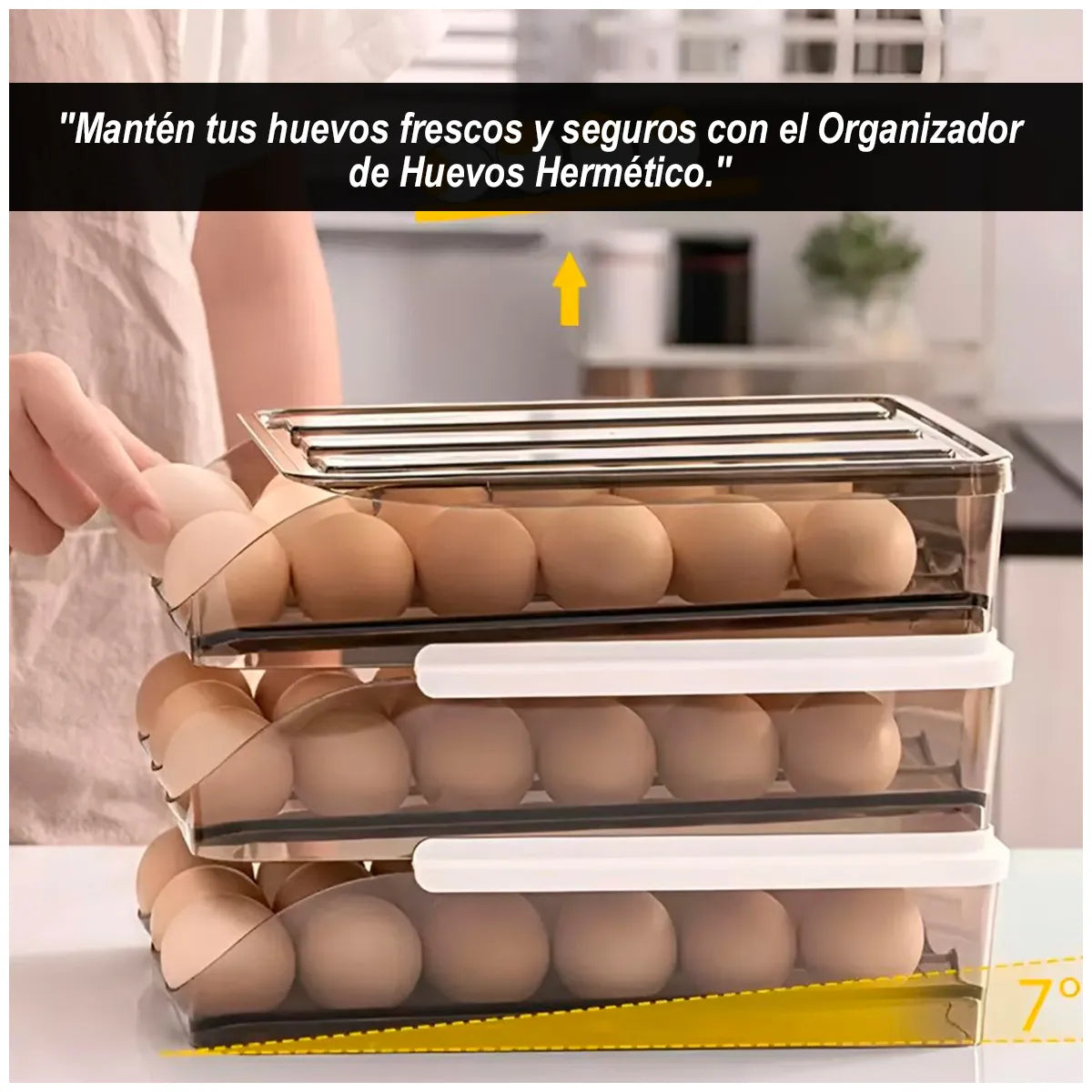 ORGANIZADOR DE HUEVOS HERMETICOS