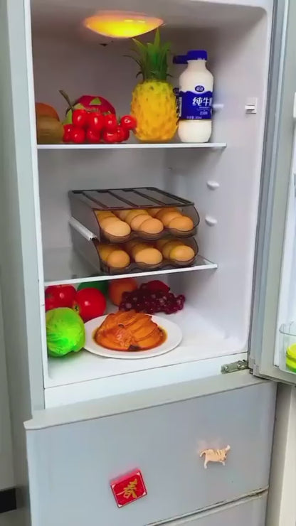 ORGANIZADOR DE HUEVOS HERMETICOS